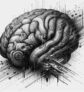 ai-brain-aging-mri-cognitive-function